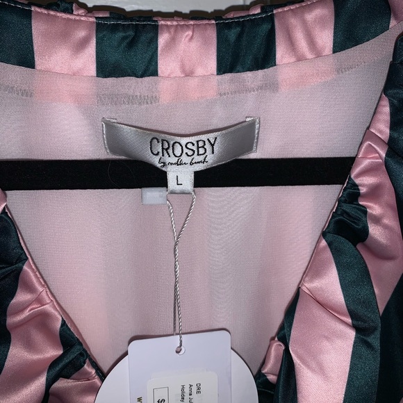 Crosby by Mollie Burch x Venita Aspen Anna Julie Dress Pink and Green St… - Picture 6 of 12